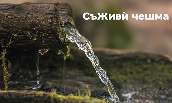 Стартира кампания „СъЖИВИ чешма“