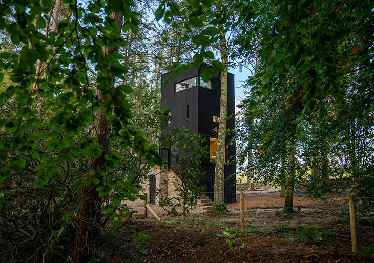 Дървена кула в английски природен парк предлага почивка сред дървета под звездите