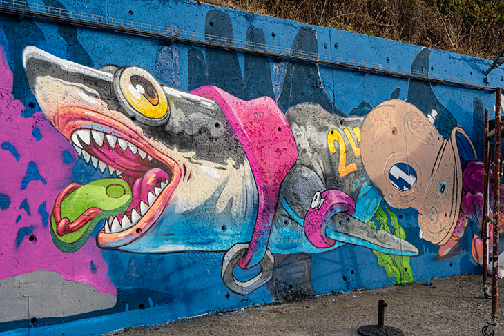 Графити дуо преобрази стената на рибарския кей в село Лозенец