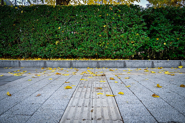 До края на октомври Столичната община е обновила над 93 хиляди квадратни метра тротоарни настилки