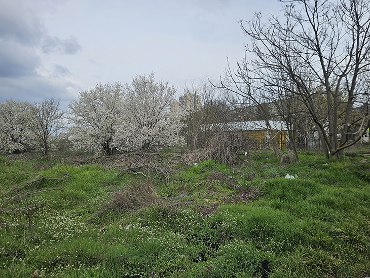 Община Ямбол предлага нови терени за домове, бизнес и инвестиции