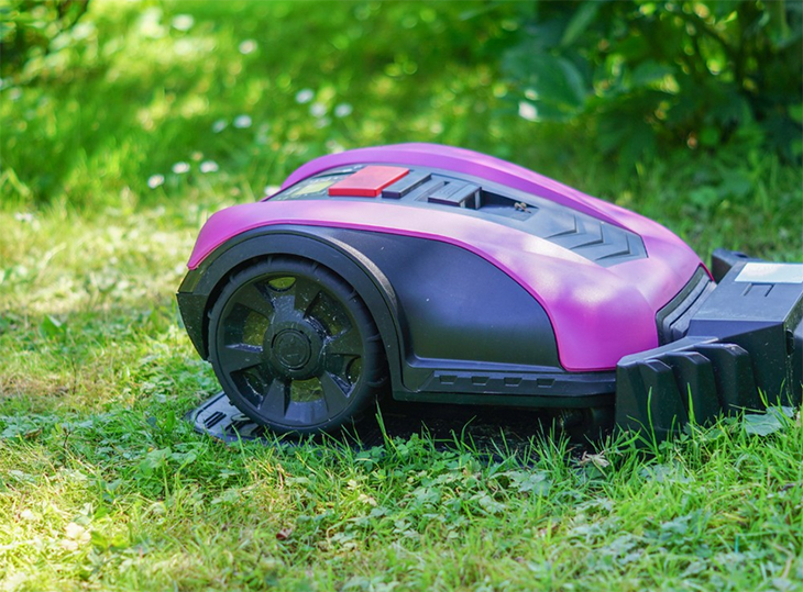 5 грешки при грижата за тревата в двора, които развалят крайния резултат