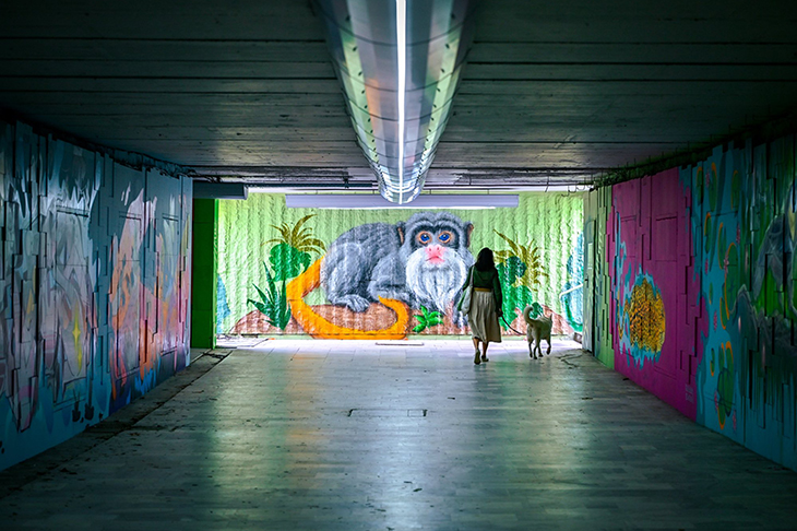 Завърши цялостната трансформация на подлеза при ул. "Александър Жендов" в София