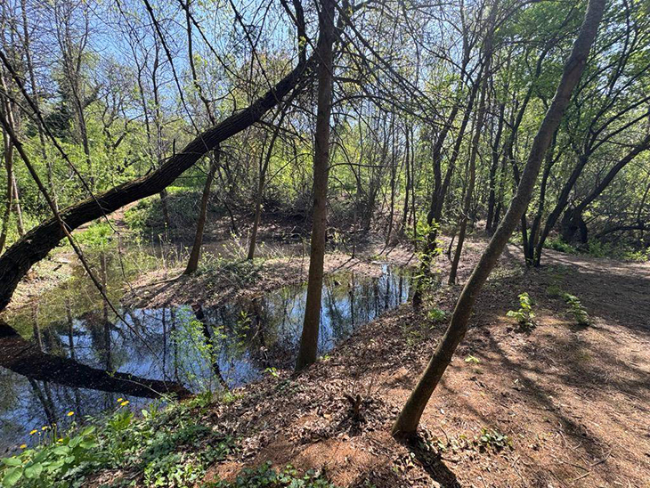 Ускоряват работата по обновяването на езерата в столичния Южен парк