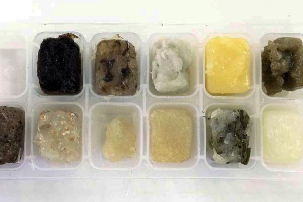 Разработват строителен материал от биопластмаса, базирана на нишесте