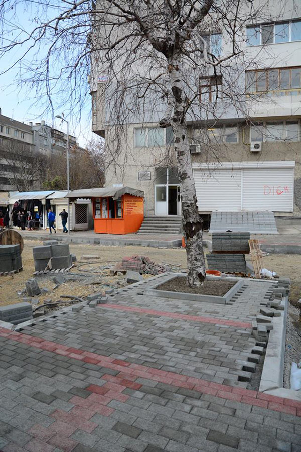 Не са бетонирани дървета на ул. „Баба Тонка“ във Варна